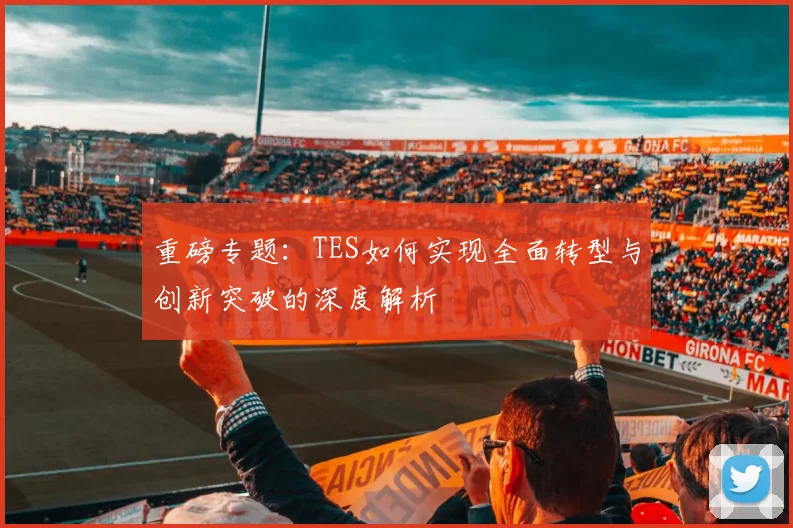 重磅专题：TES如何实现全面转型与创新突破的深度解析
