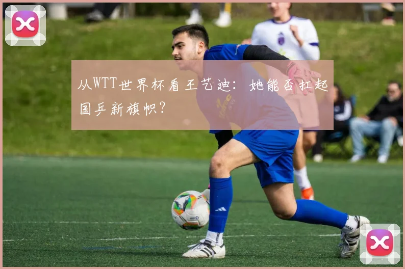 从WTT世界杯看王艺迪:她能否扛起国乒新旗帜?