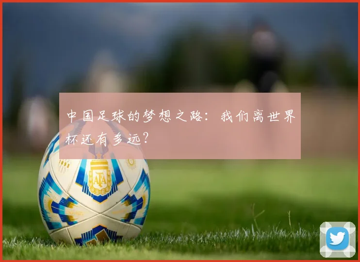 中国足球的梦想之路：我们离世界杯还有多远？