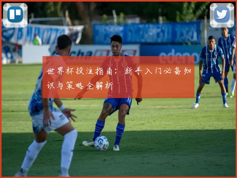 世界杯投注指南：新手入门必备知识与策略全解析