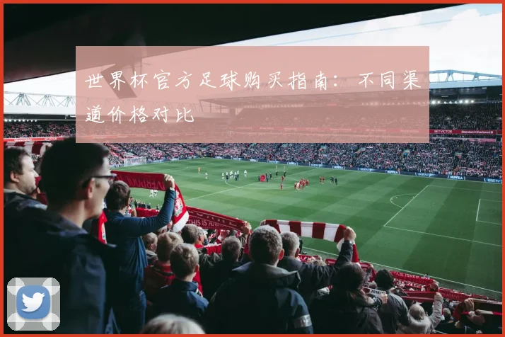 世界杯官方足球购买指南:不同渠道价格对比