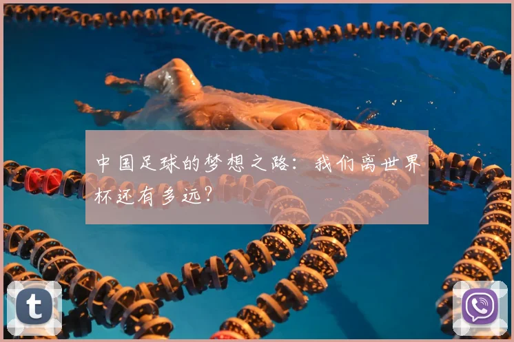 中国足球的梦想之路:我们离世界杯还有多远?