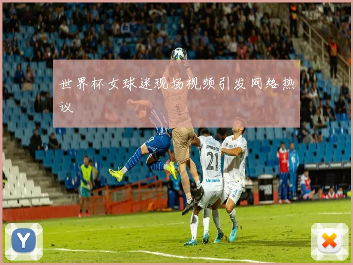 世界杯女球迷现场视频引发网络热议
