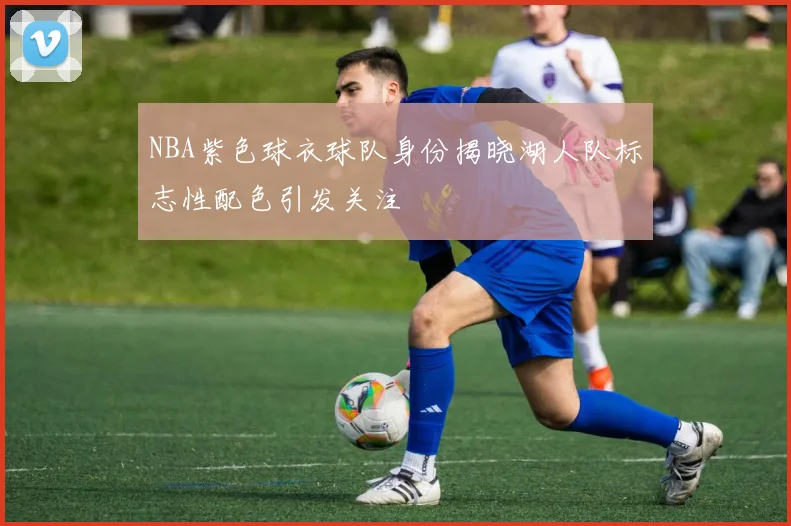 NBA紫色球衣球队身份揭晓湖人队标志性配色引发关注