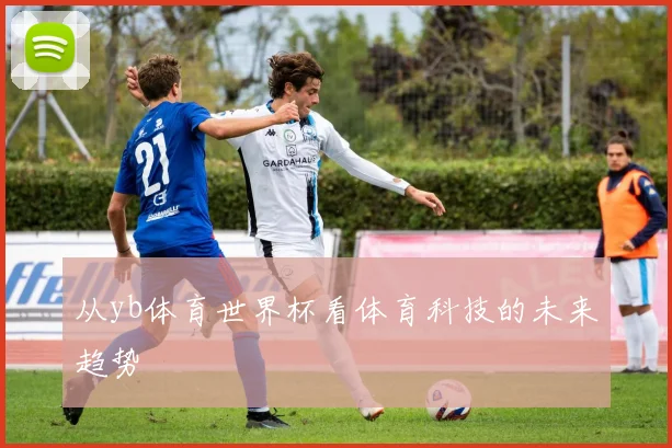 从yb体育世界杯看体育科技的未来趋势
