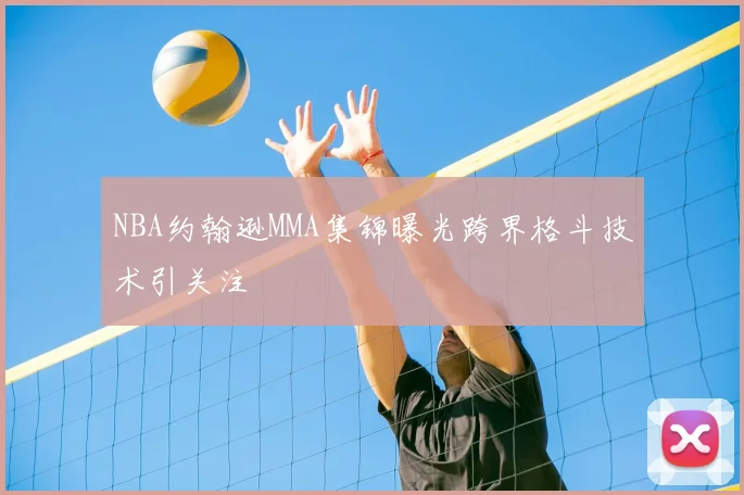 NBA约翰逊MMA集锦曝光跨界格斗技术引关注