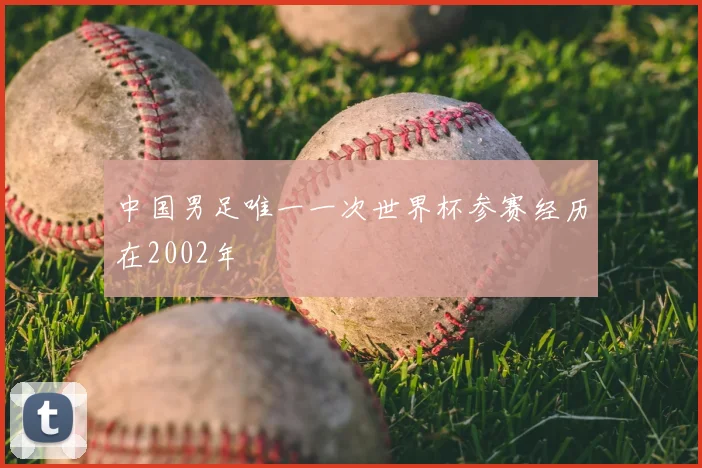中国男足唯一一次世界杯参赛经历在2002年