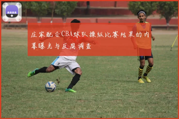 庄家配合CBA球队操纵比赛结果的内幕曝光与反腐调查