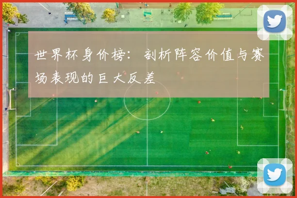 世界杯身价榜：剖析阵容价值与赛场表现的巨大反差