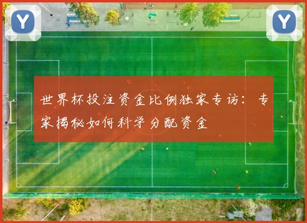 世界杯投注资金比例独家专访：专家揭秘如何科学分配资金