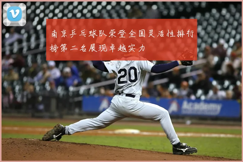 南京乒乓球队荣登全国灵活性排行榜第二名展现卓越实力