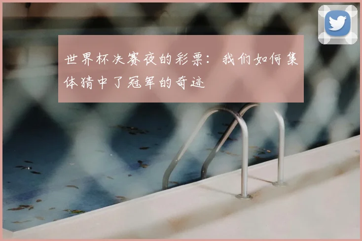 世界杯决赛夜的彩票：我们如何集体猜中了冠军的奇迹